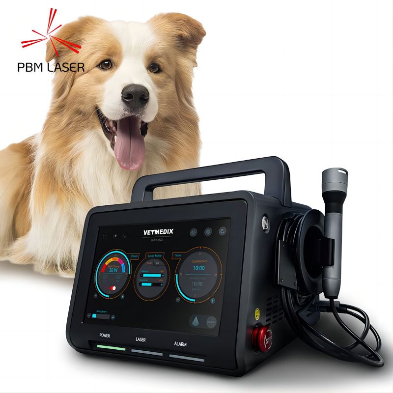 Quali condizioni possono essere utilizzate per trattare i laser veterinari?