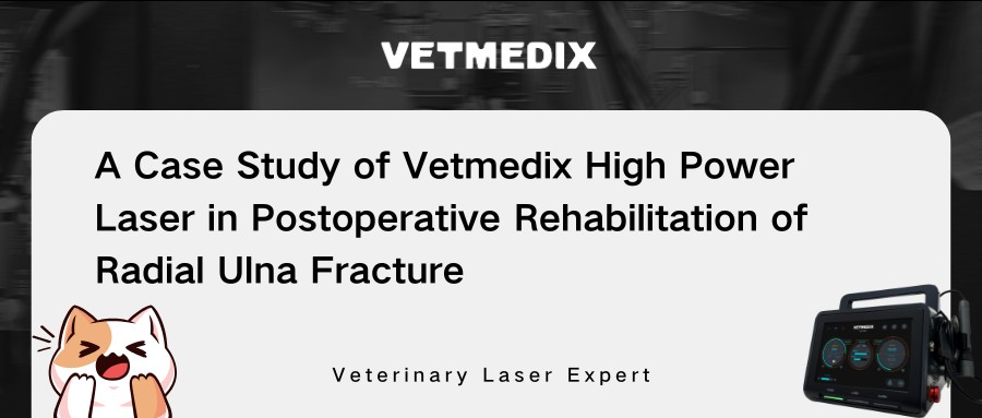 Case di vetmedix Condivisione 丨 terapia laser ad alta potenza nella riabilitazione postoperatoria della frattura radiale di ulna