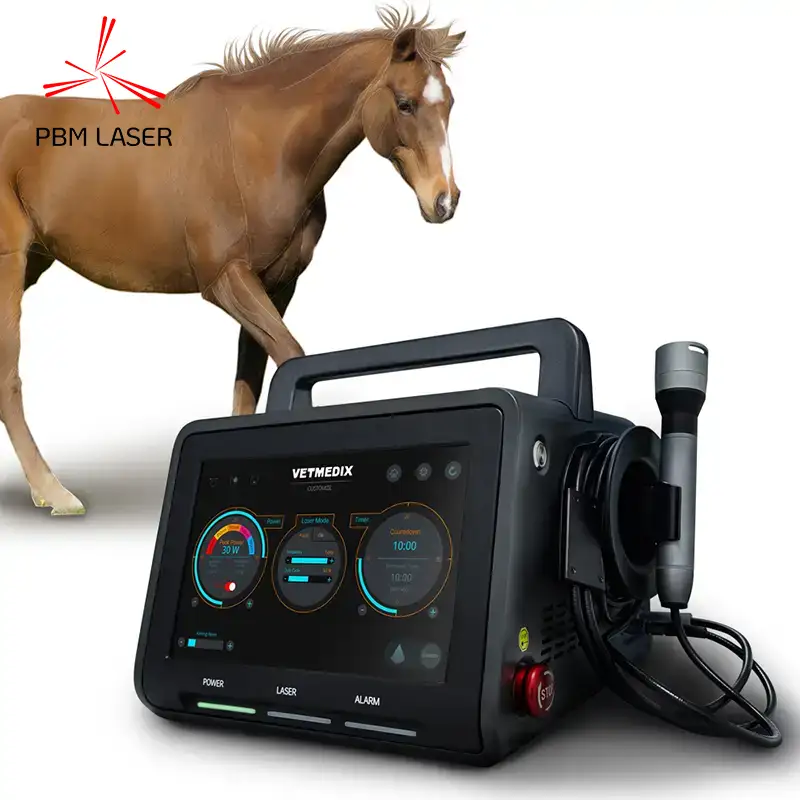 Trattamento laser equino